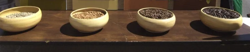Del campo a tu taza: los caficultores independientes que están cambiando las reglas del juego