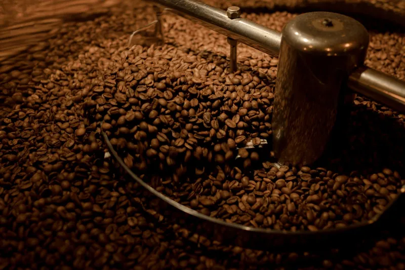 Detrás del telón: lo que realmente pasa en el mundo del café de especialidad latinoamericano