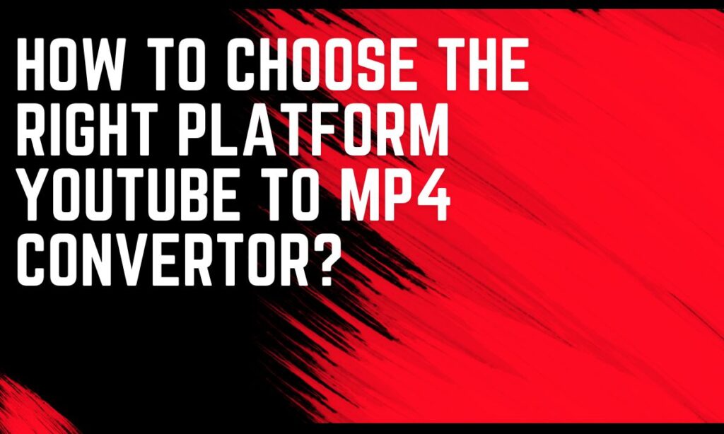 How to choose the right platform YouTube to mp4 convertor